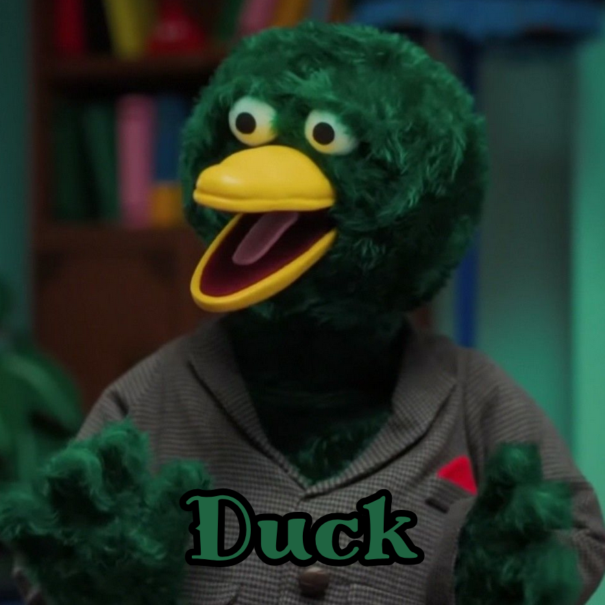 Duck